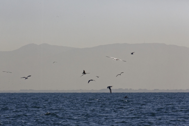 Pêche et ski nautique-006